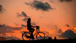 Cycling in the dark – the impact of Standard Time and Daylight Saving Time on bicycle ridership